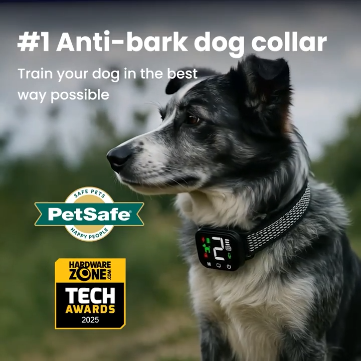 Before and after comparison